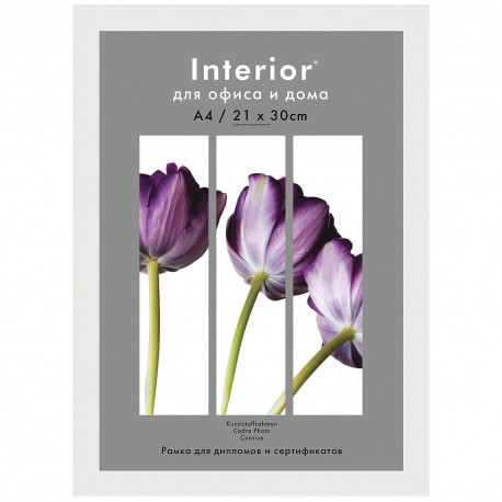 Рамка СветоСила Interior Office