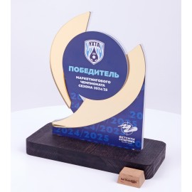 Награда акриловая универсальная. PN3465