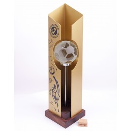 Награда по футболу оригинальная. KN2068