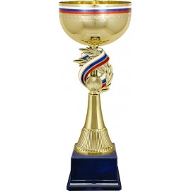 Кубок KA6653