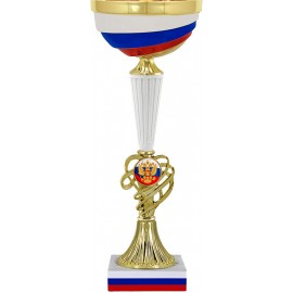 Кубок KA6947