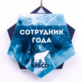 Медаль акриловая двухслойная. NZ828