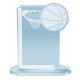 P843_баскетбол