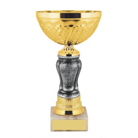 Кубок K2300 K2300 