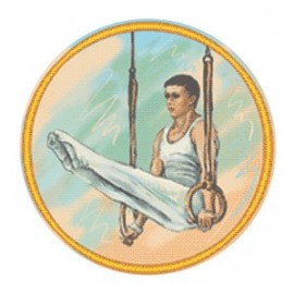 Эмблема EM6266