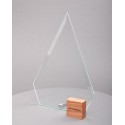 Приз прозрачный P1079