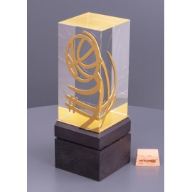 Награда спортивная из стекла и дерева "Баскетбол". Уникальный дизайн. 18 х 6.5 х 6.5 см.