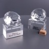 Приз с изображением PN3035