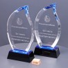 Приз GF20114